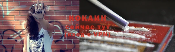 стаф Белоозёрский